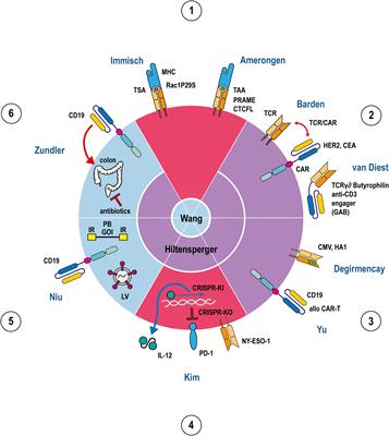 Editorial: Translation of genetically engineered T cells in cancer immunotherapy